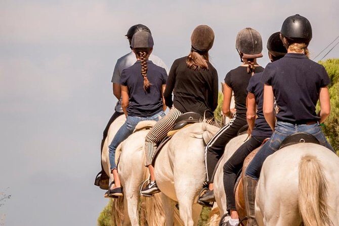 Horse Riding on the Beach - Frequently Asked Questions