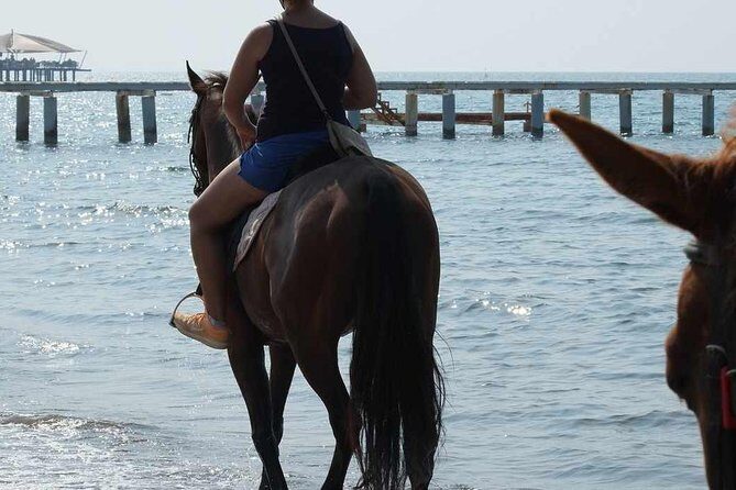 Horse Riding on the Beach in Side - What to Expect from the Horseback Riding Experience