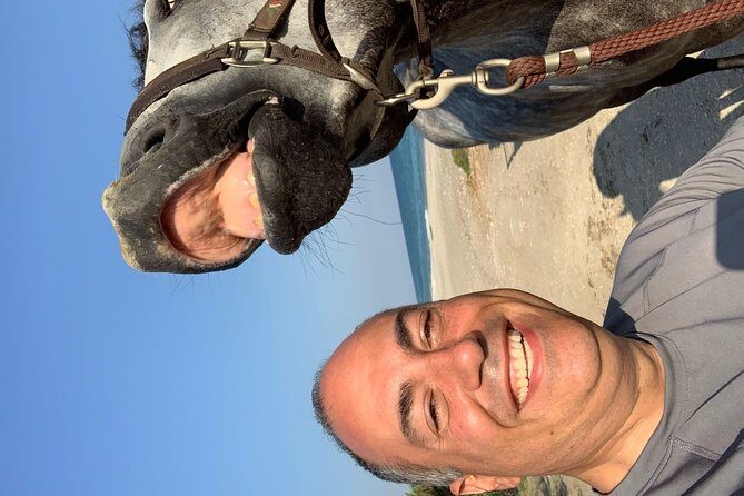Horse riding on the Beach, Rhodes - What You Can Expect from the Horseback Beach Ride in Rhodes
