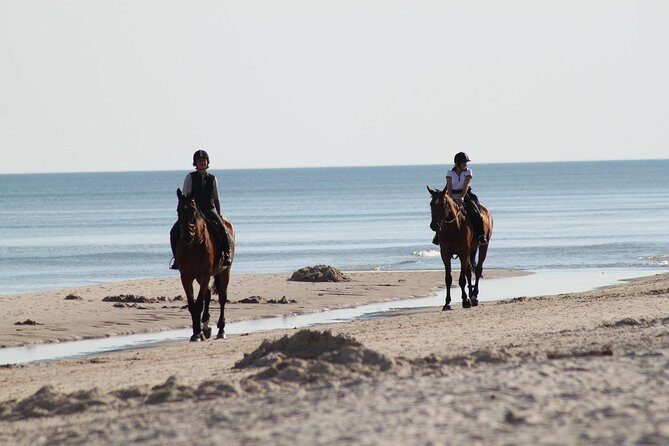 Horse riding on the Beach, Rhodes - Is This Tour Worth the Price?
