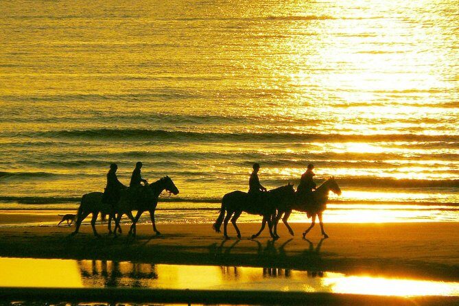 Horse riding on the Beach, Rhodes - Who Is This Experience Best For?