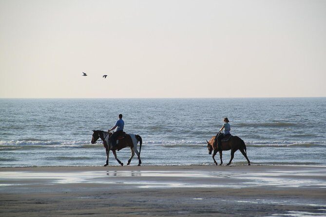 Horse riding on the Beach, Rhodes - FAQs