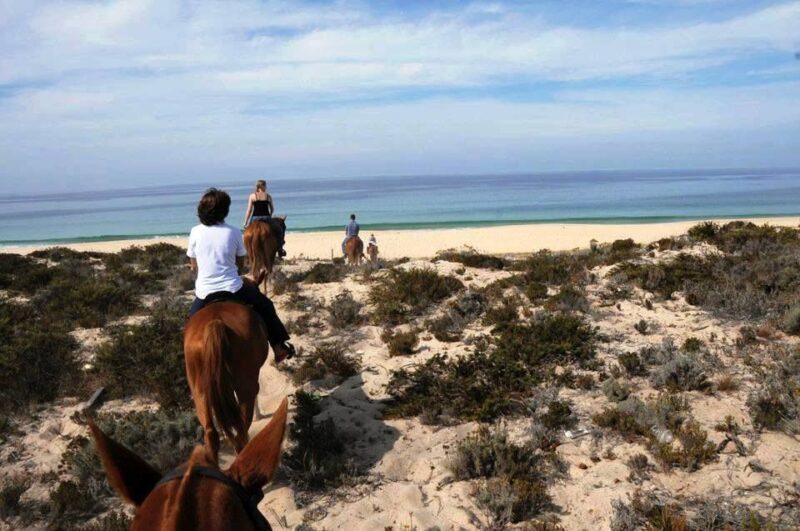 Horse riding on the beach, with private transfer from Lisbon - Horse riding on the beach, with private transfer from Lisbon: An honest look