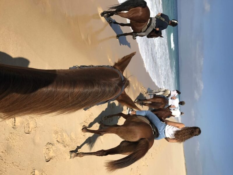 Horse riding on the beach, with private transfer from Lisbon - The itinerary and its charm