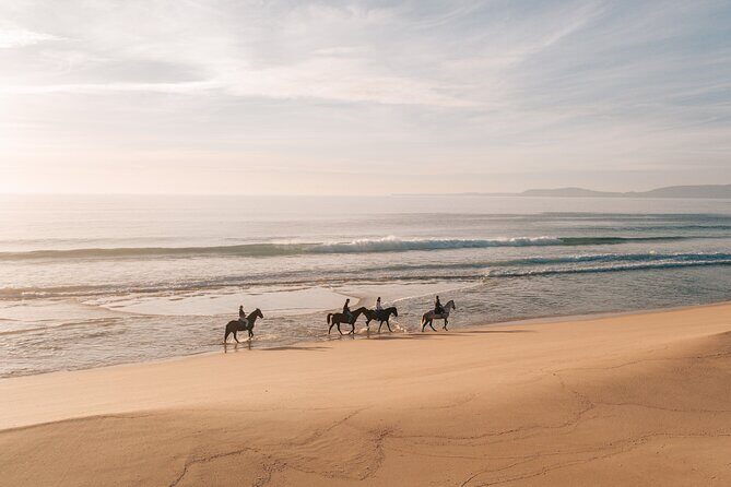 Horse Riding on the Beach with private transfer from Lisbon - The Actual Beach Ride: Short but Sweet