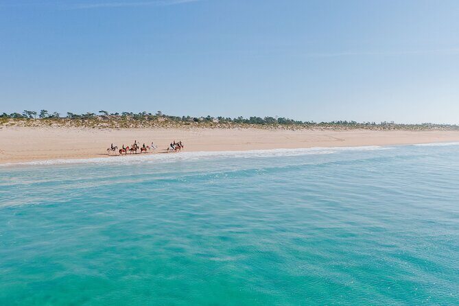 Horse Riding on the Beach with private transfer from Lisbon - In The Sum Up