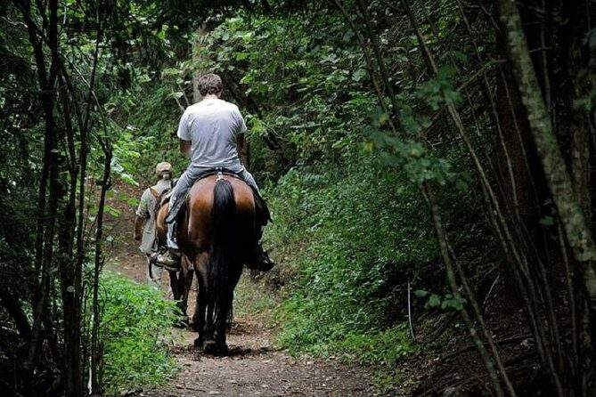 Horse Riding Small Group near Lucca - Who Should Consider This Tour?