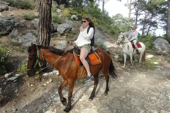 Horse Riding Tour in Bodrum with Hotel Pick Up - What to Expect from the Horse Riding Tour in Bodrum
