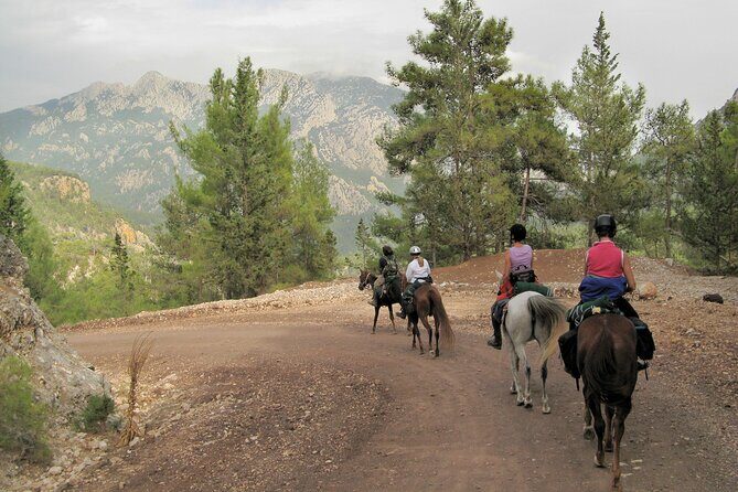 Horse Riding Tour in Bodrum with Hotel Pick Up - The Reviews Speak for Themselves