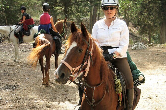 Horse Riding Tour in Bodrum with Hotel Pick Up - Practical Details: Transportation, Timing, and Group Size