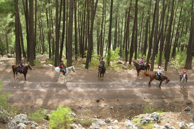 Horse Riding Tour in Bodrum with Hotel Pick Up - The Sum Up
