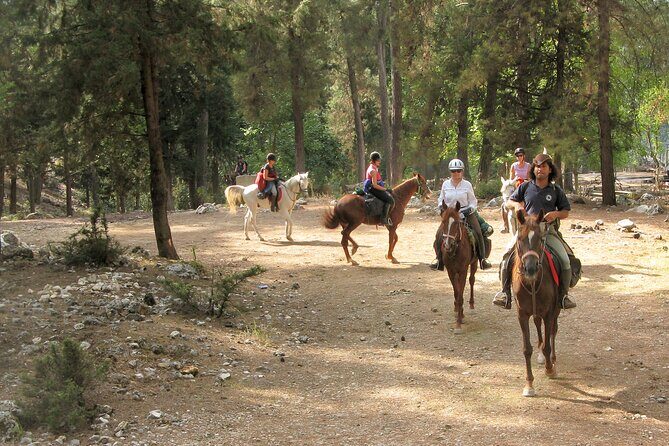 Horse Riding Tour in Bodrum with Hotel Pick Up - FAQs