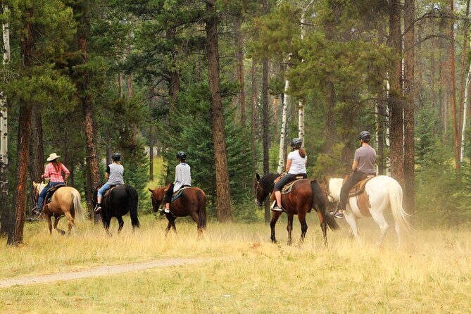 Horse Riding Tour in Marmaris - What to Expect from the Marmaris Horse Riding Tour