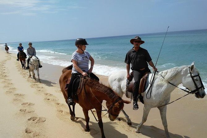 Horse Riding Tour on the Beach Lisbon region - Key Points