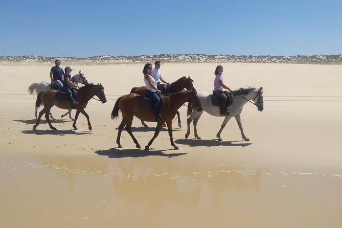 Horse Riding Tour on the Beach Lisbon region - Practical Tips Before You Go