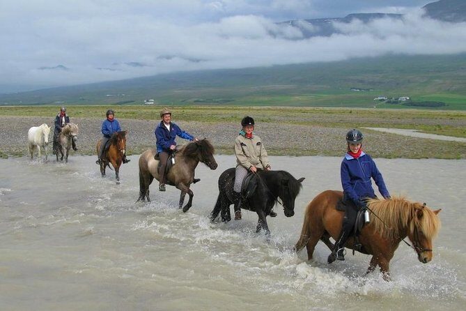 Horse Riding Tour to the Glacier River Delta with Waterfall - What the Reviews Say