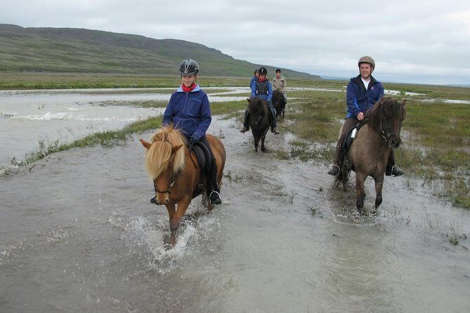 Horse Riding Tour to the Glacier River Delta with Waterfall - Who Is This Tour Best Suited For?