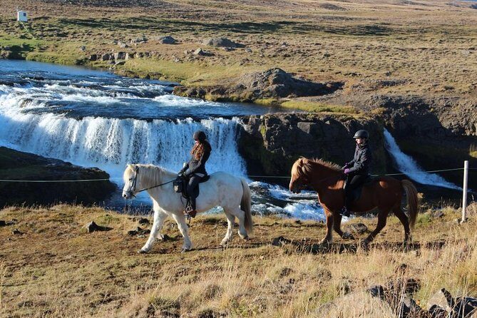 Horse Riding Tour to the Glacier River Delta with Waterfall - Final Thoughts