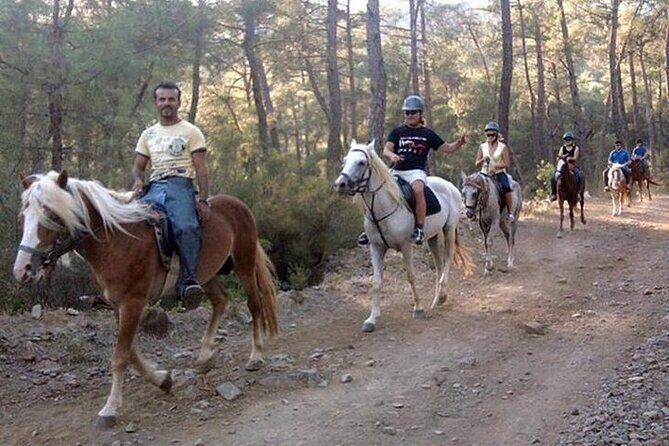 Horse Safari From Kemer - Key Points
