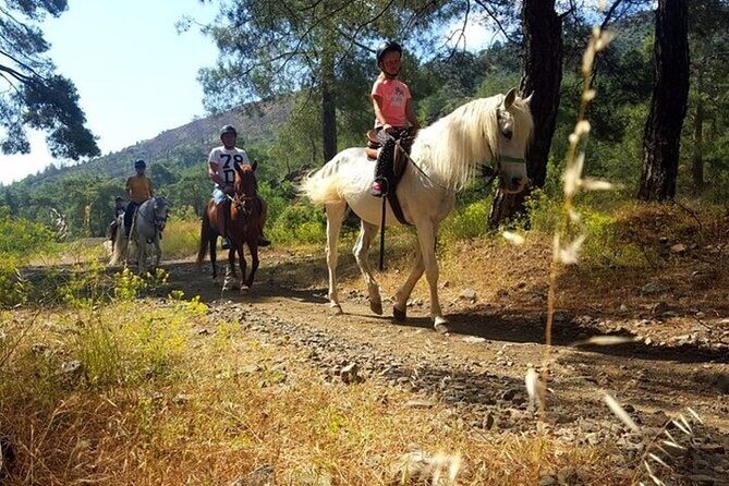 Horse Safari From Kemer - Final Thoughts: Is This Tour Right for You?