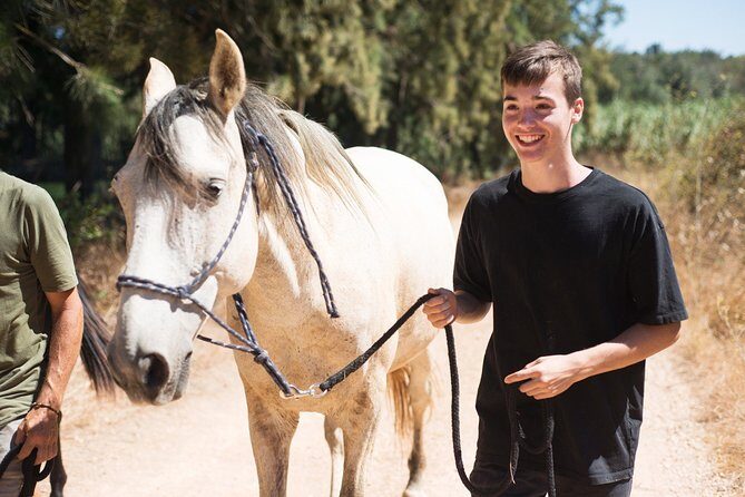 Horse Sanctuary: A nature walk with Rescued Horses by your side - The Price and Value