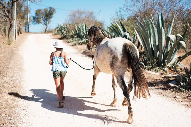Horse Sanctuary: A nature walk with Rescued Horses by your side - What Do People Say?