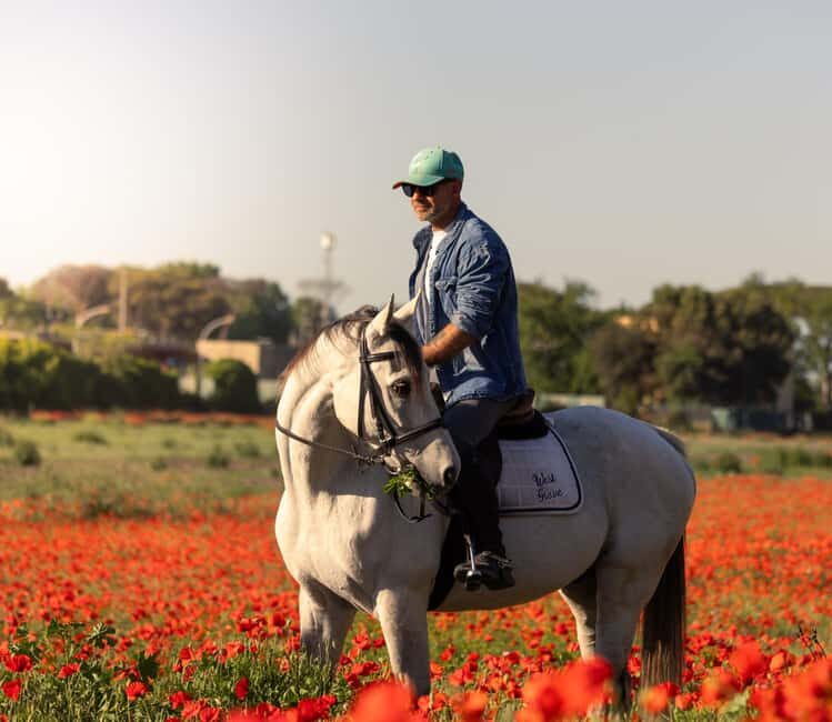 Horse Sanctuary in Rome - Exploring the Horse Sanctuary in Rome: What You Need to Know