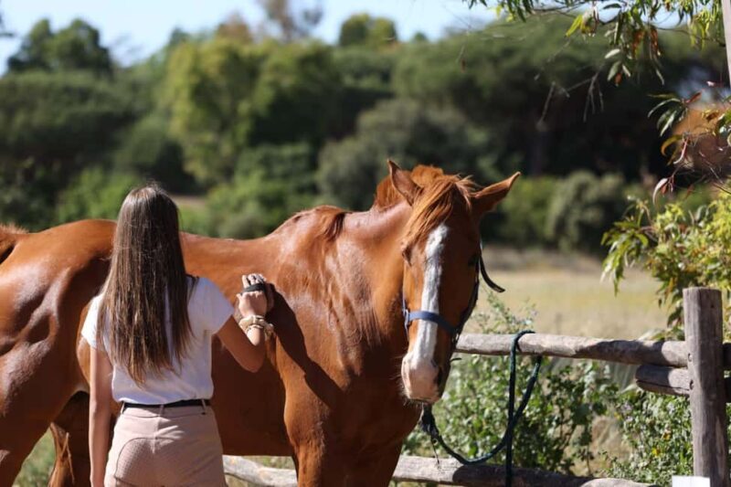 Horse Sanctuary in Rome - Reviews Speak Volumes