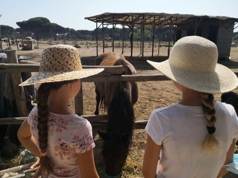 Horse Sanctuary in Rome - The Sum Up