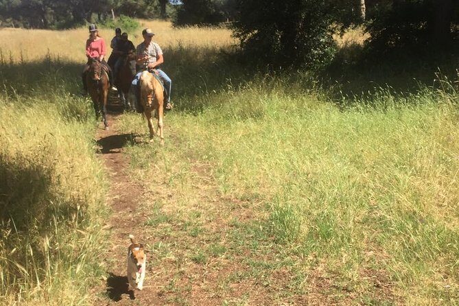 Horse Sanctuary & Trail Ride - An In-Depth Look at the Horseback Tour in Rome