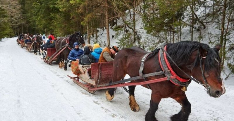 Horse Sleigh 2-3h Ride with Hot Springs or Zakopane Combos - Exploring Zakopane and the Surroundings