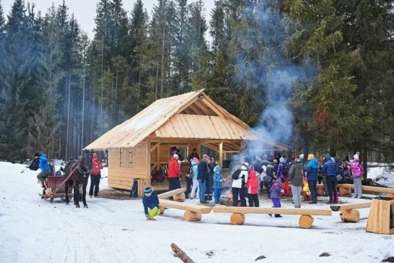 Horse Sleigh 2-3h Ride with Hot Springs or Zakopane Combos - Relaxation at the Thermal Baths