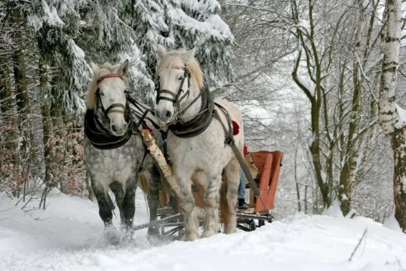 Horse Sleigh 2-3h Ride with Hot Springs or Zakopane Combos - Practicalities and What’s Included