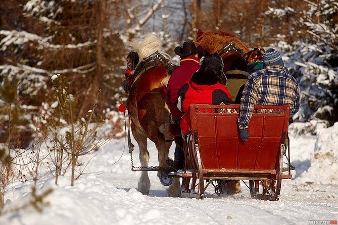 Horse Sleigh Ride in the Polish Countryside, private tour from Krakow - What is the Horse Sleigh Ride Tour All About?