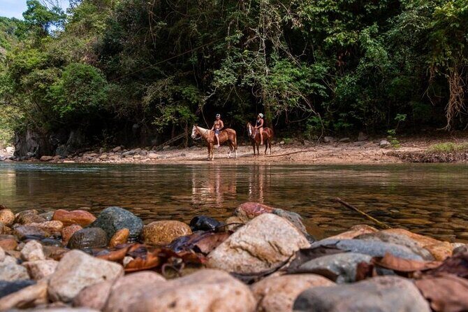 Horse Tour - Key Points
