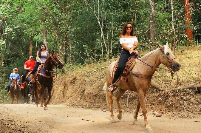 Horse Tour - Frequently Asked Questions