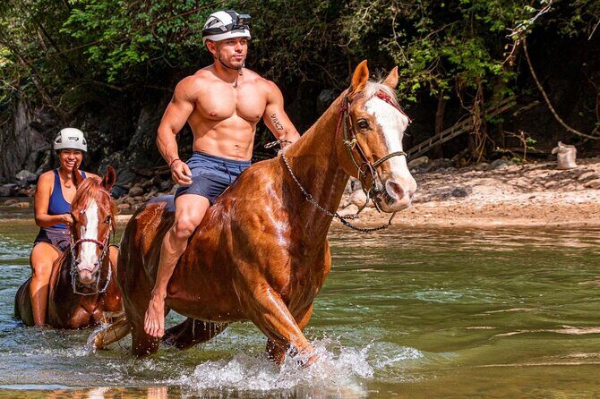 Horse Tour - Final Thoughts