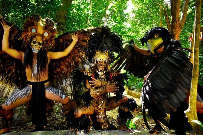 Horse Xtreme Wild - Key Points