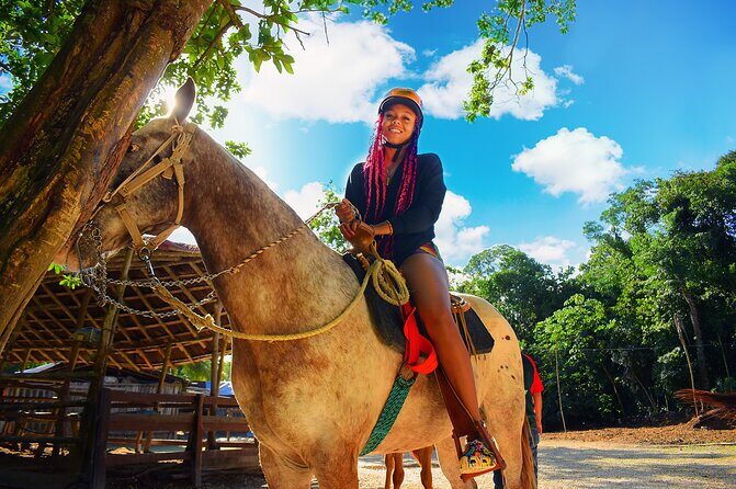 Horse Xtreme Wild - Final Thoughts: Is Horse Xtreme Wild Worth It?