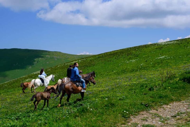 Horseback Adventure in Armenias Highland Pastures - More Than Just a Ride: The Authentic Armenian Experience