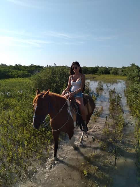 Horseback Adventure in Holbox - Key Points