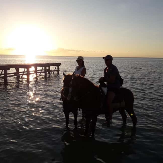 Horseback Adventure in Holbox - What You Can Expect from the Horseback Ride