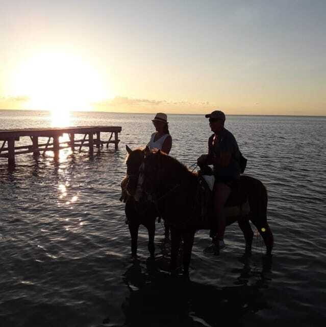Horseback Adventure in Holbox - The Sum Up