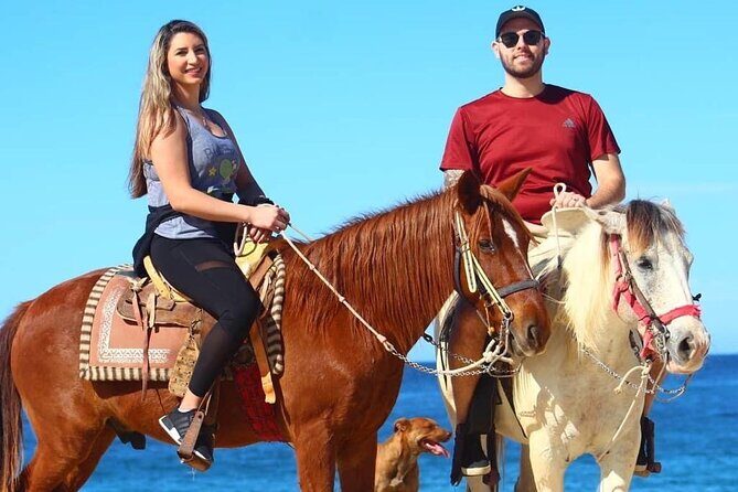 Horseback Adventures - Authentic Feedback & Realistic Expectations