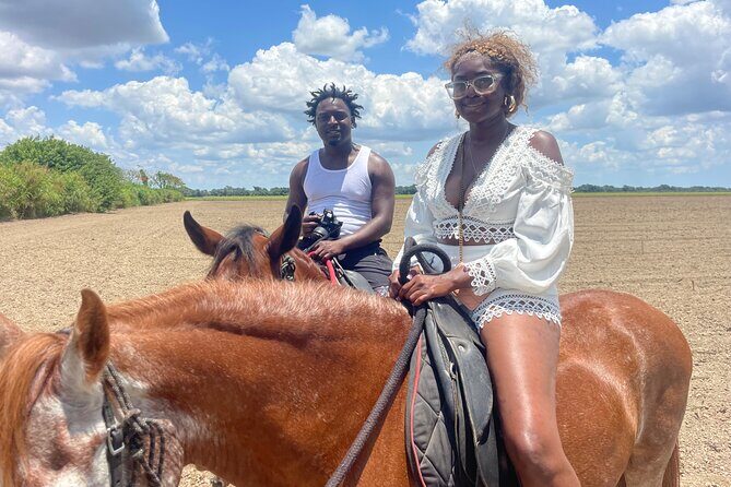 Horseback Experience in Miami - Introduction