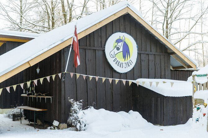 Horseback ride (1 hour) - Pricing and Value