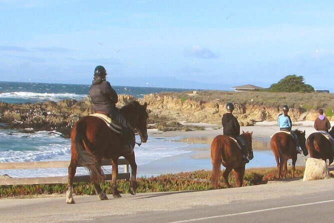 Horseback Ride & Alcatraz Prison Tickets - Who Should Consider This Tour?