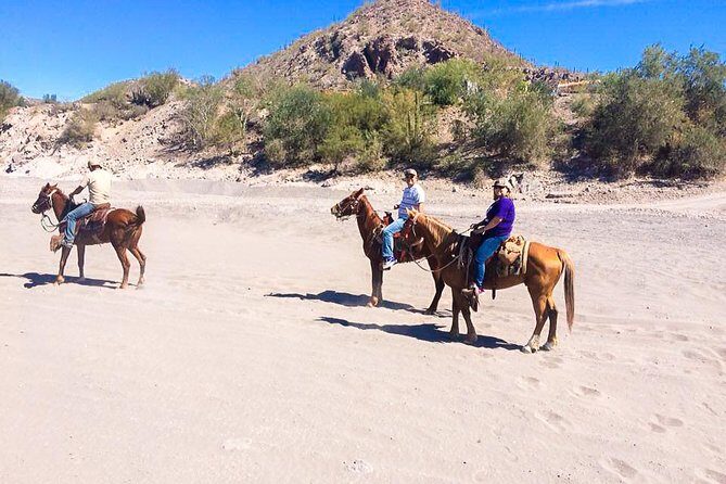 Horseback ride and witness magical sunset of Loreto, BCS - The Real Reviews—What Travelers Say