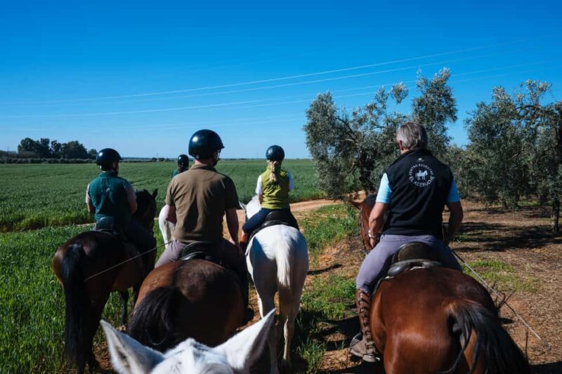 Horseback ride around Doñana National Park - FAQ