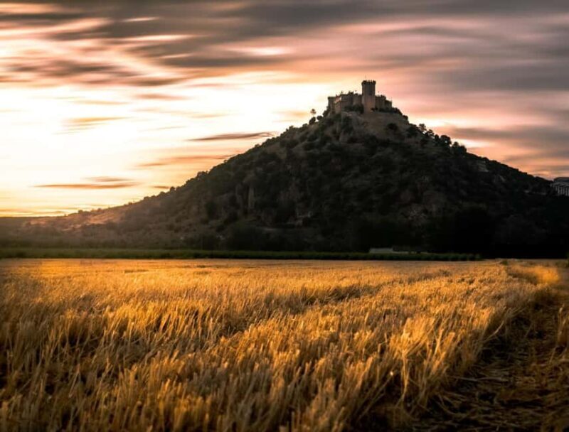 Horseback ride in Almodóvar del Río. - Key Points